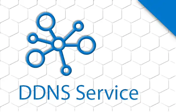 INSTAR DDNS Service