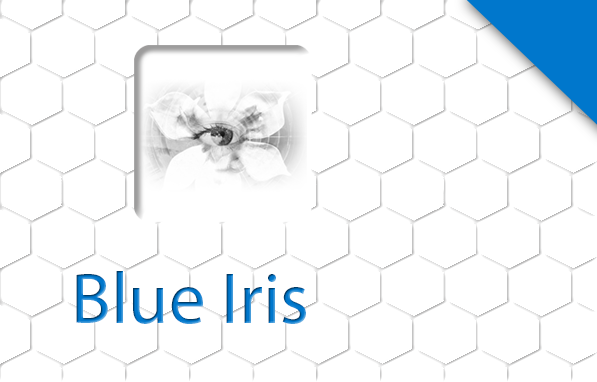 Blue Iris v3