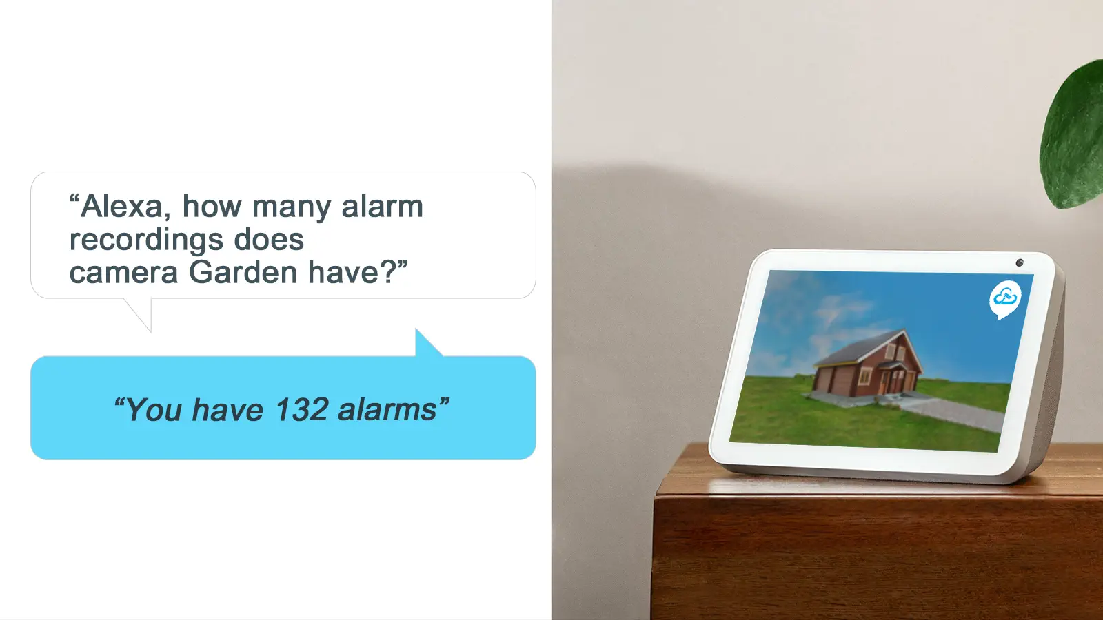 Alexa Check number of alarms for specific cameras